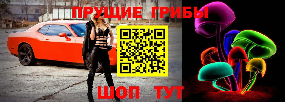 Галлюциногенные грибы прущие грибы  Вход с VPN  купить наркотик  Галлюциногенные грибы MAGIC MUSHROOMS  Нижний Тагил 